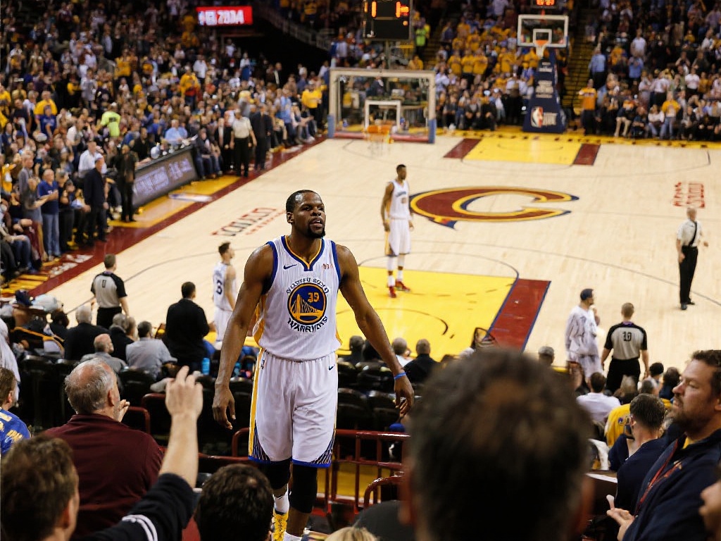 将大大增加 将大大增加